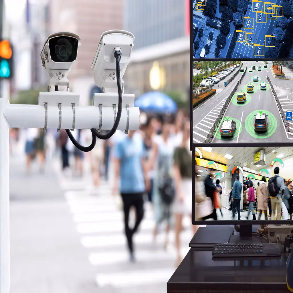 Public Safety & Security